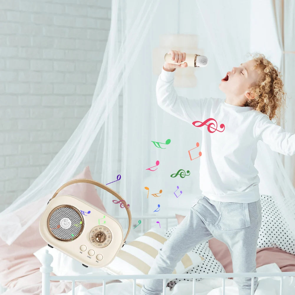 home karaoke speaker